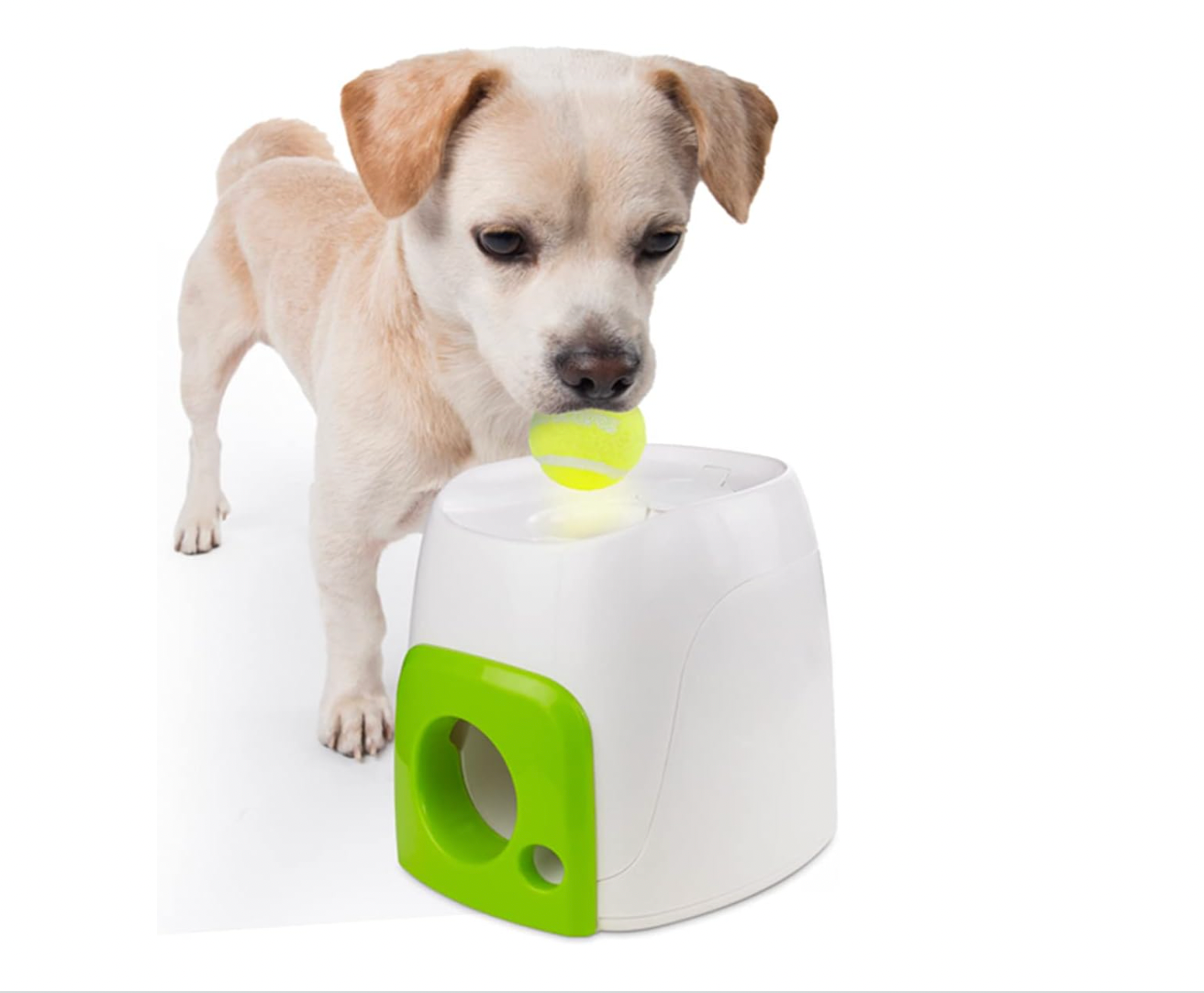 Interaktiv Fetch 'N Treat Ballwurfmaschine